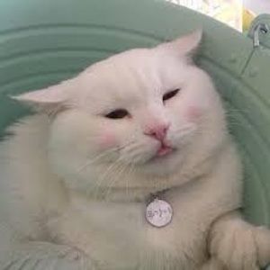 Meet your Posher, Dulce